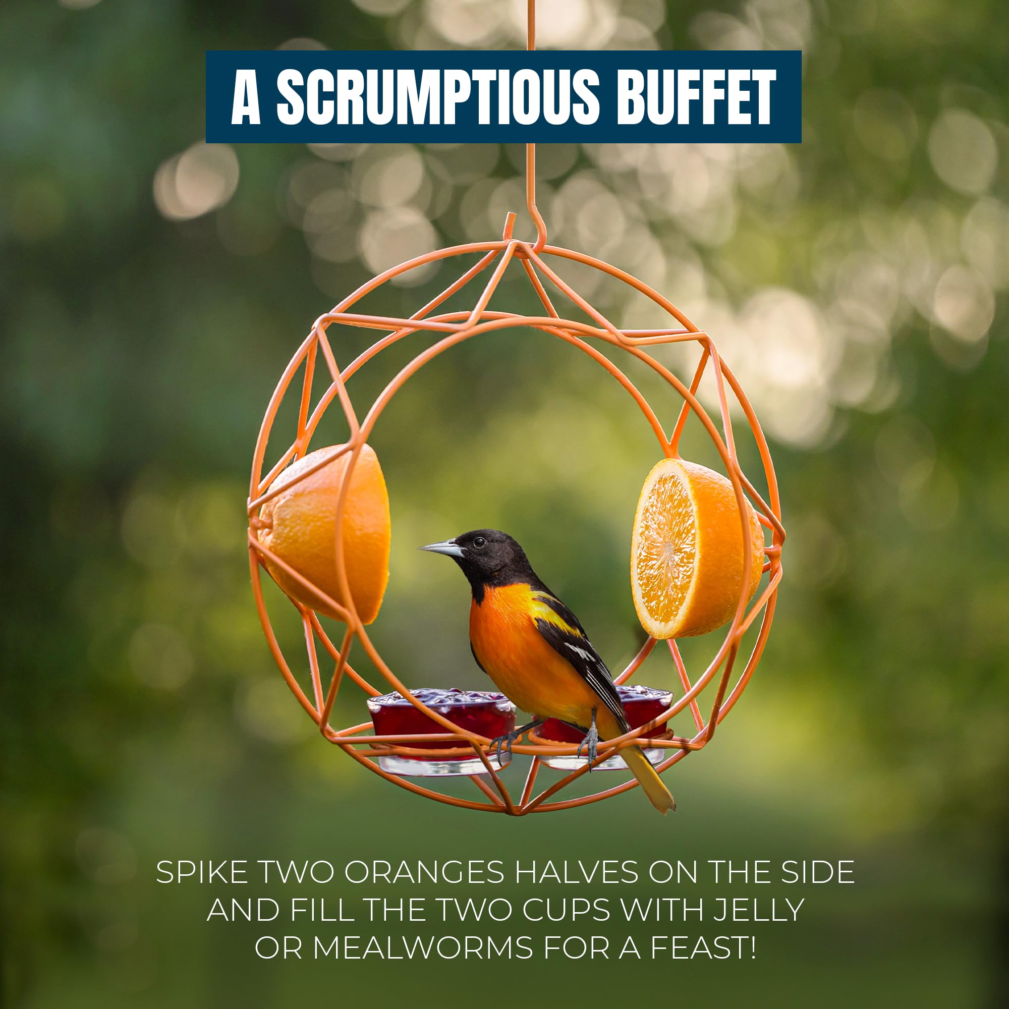 Amazon.com : MEKKAPRO Sun Baltimore Oriole Feeder for Outdoors